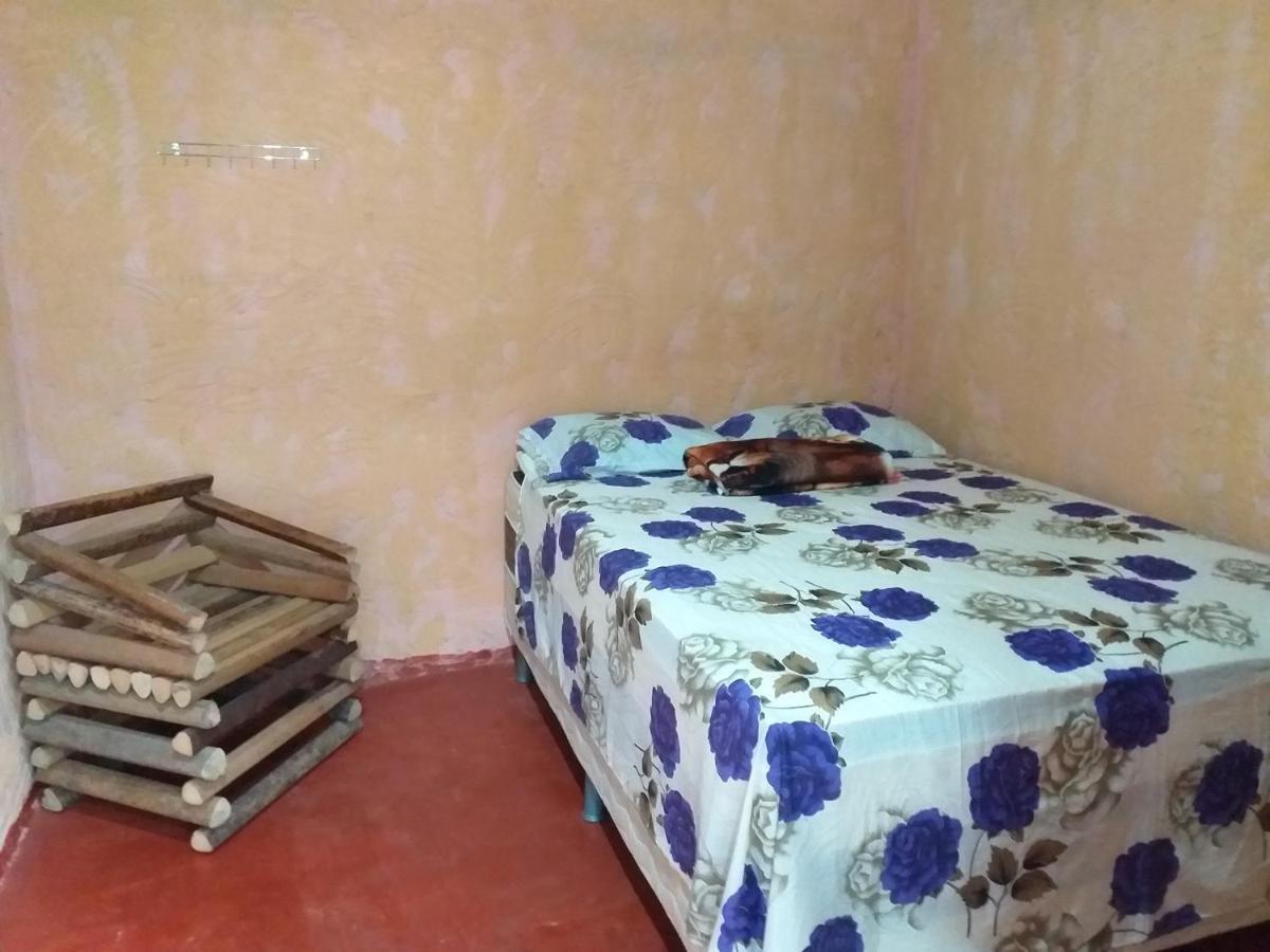 Refugio Raiz Camping Carolina  Luaran gambar