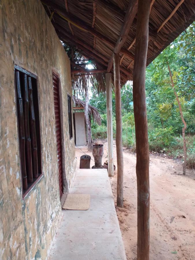 Refugio Raiz Camping Carolina  Luaran gambar