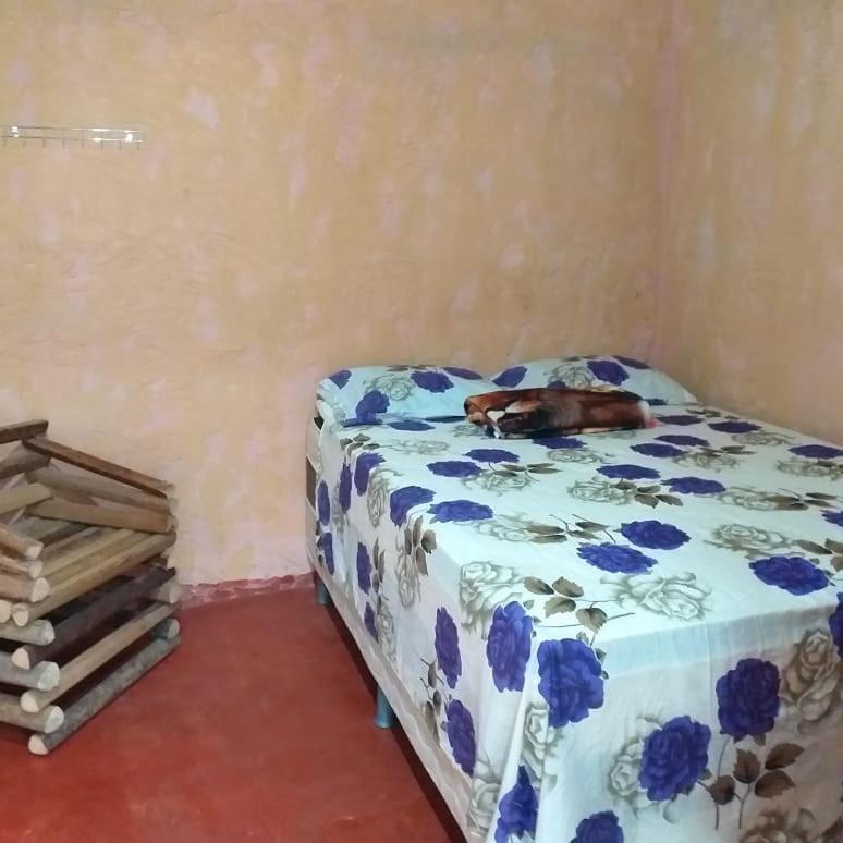 Refugio Raiz Camping Carolina  Luaran gambar