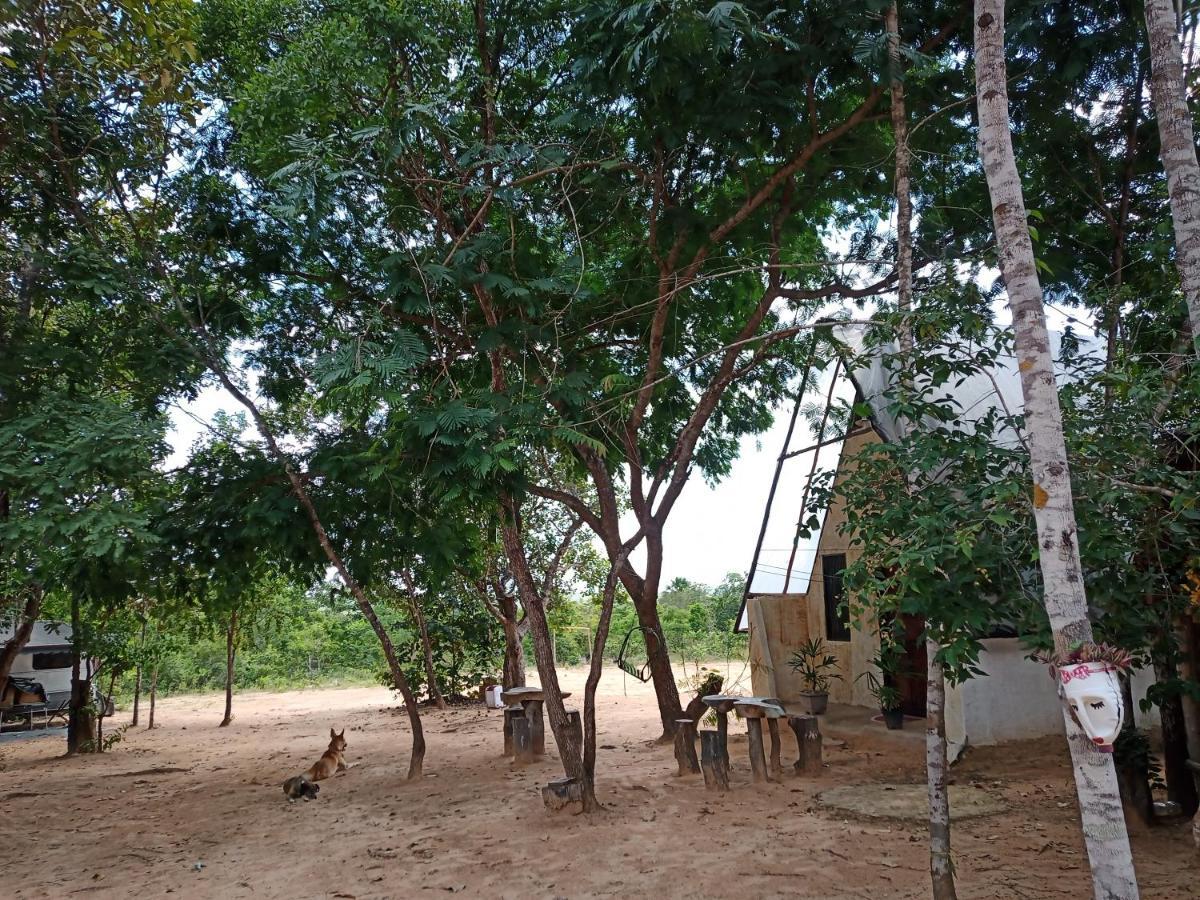 Refugio Raiz Camping Carolina  Luaran gambar