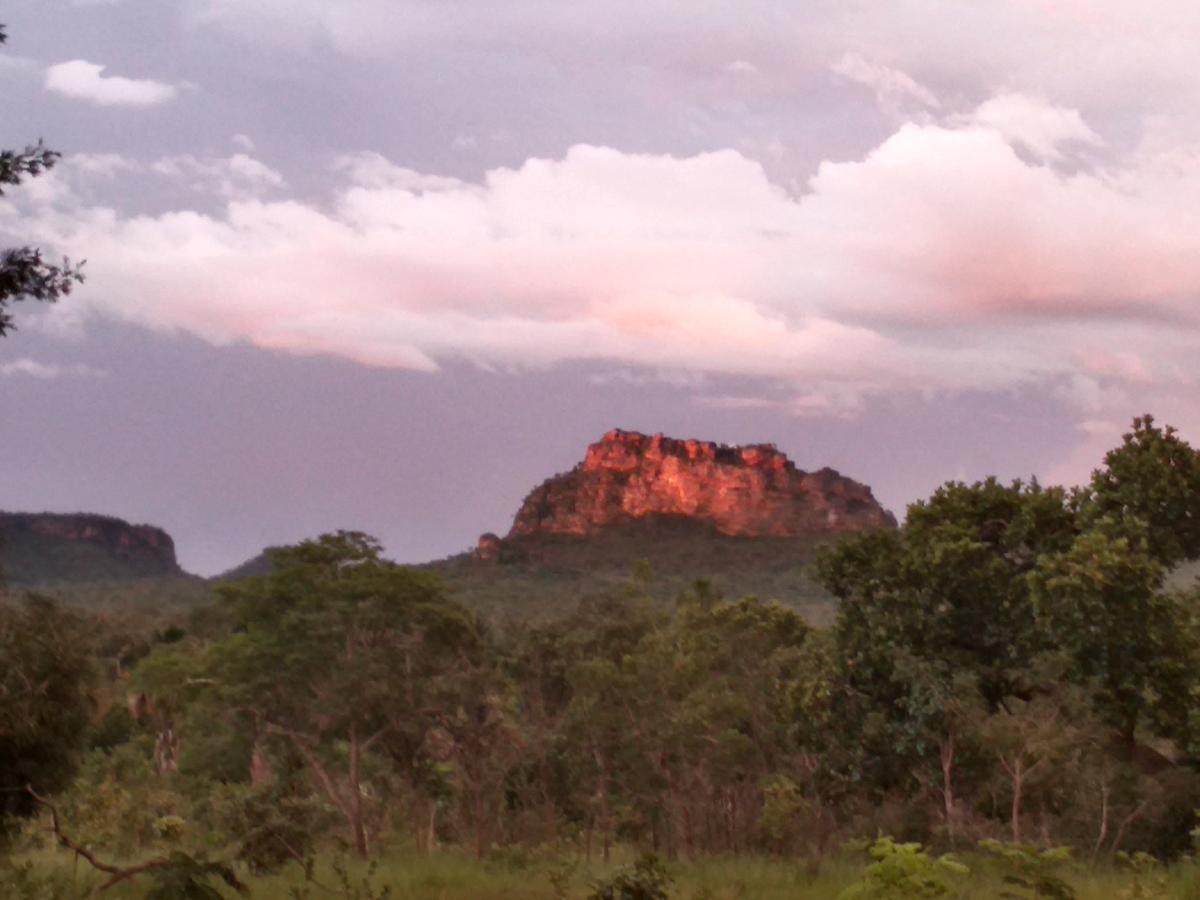 Refugio Raiz Camping Carolina  Luaran gambar