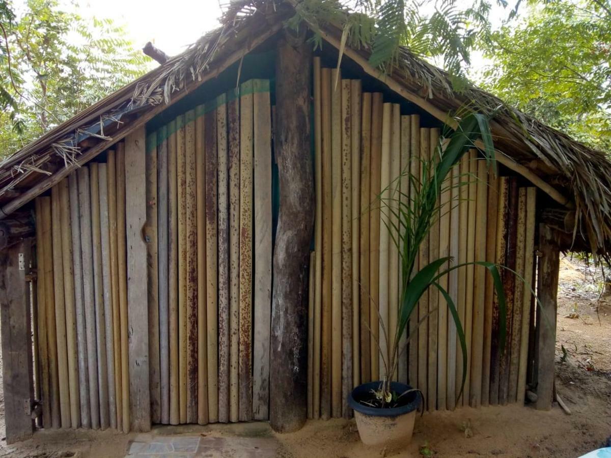 Refugio Raiz Camping Carolina  Luaran gambar