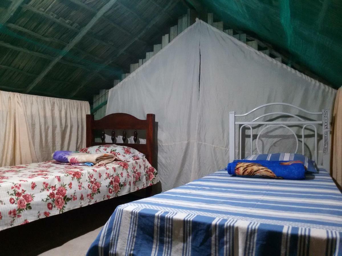Refugio Raiz Camping Carolina  Luaran gambar